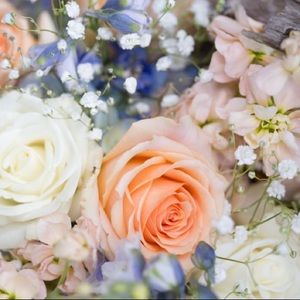 Meet your Posher, Meagan